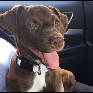 Meet your Posher, Jackie